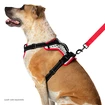 Canicross tuig Nathan  K9 Dog Harness