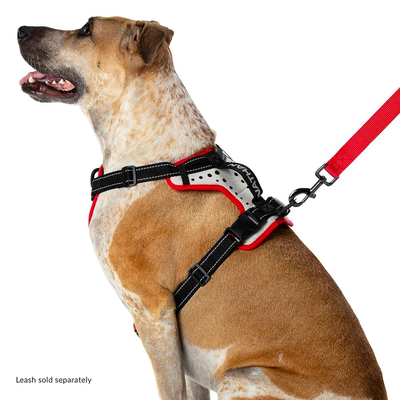 Canicross tuig Nathan  K9 Dog Harness