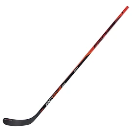 Composiet ijshockeystick Fischer RC EEN IS4 Senior