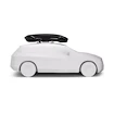 Dakkoffer Thule Motion 3 XXL Black
