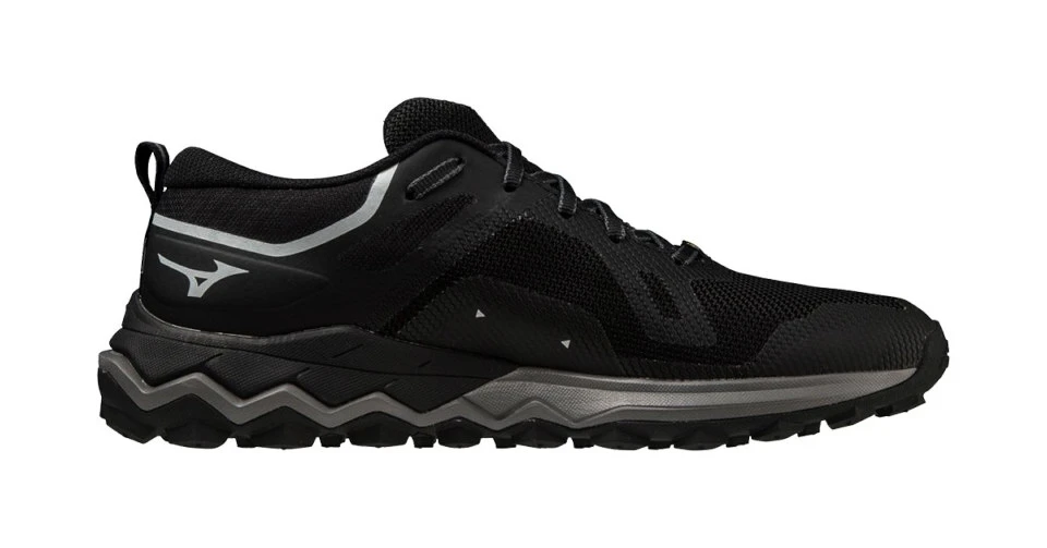 Dames hardloopschoenen Mizuno Wave Ibuki 4 Gtx Black/Silver/Quiet Shade