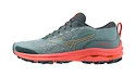 Dames hardloopschoenen Mizuno Wave Rider Tt Lead/Carrot Curl/Nasturtium