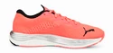 Dames hardloopschoenen Puma  Velocity Nitro 2 Sunset Glow