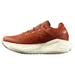 Dames hardloopschoenen Salomon Aero Glide 3 GRVL Burnt Ochre/Vanilla Ice/Etherea