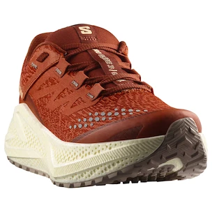 Dames hardloopschoenen Salomon Aero Glide 3 GRVL Burnt Ochre/Vanilla Ice/Etherea