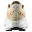 Dames hardloopschoenen Salomon Aero Glide 3 GRVL Shortbread/White/Fusion Coral