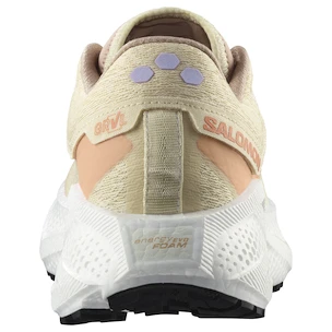 Dames hardloopschoenen Salomon Aero Glide 3 GRVL Shortbread/White/Fusion Coral