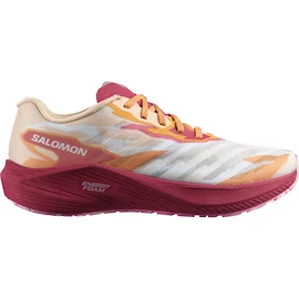 Dames hardloopschoenen Salomon AERO VOLT W