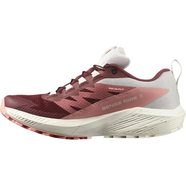 Dames hardloopschoenen Salomon  GTX W Syrah/Vanila/Pea