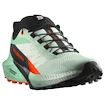 Dames hardloopschoenen Salomon Sense Ride 5 Bay/Black/Cherry Tomato