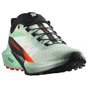 Dames hardloopschoenen Salomon Sense Ride 5 Bay/Black/Cherry Tomato