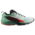 Dames hardloopschoenen Salomon Sense Ride 5 Bay/Black/Cherry Tomato