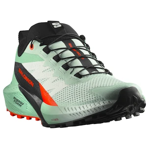 Dames hardloopschoenen Salomon Sense Ride 5 Bay/Black/Cherry Tomato