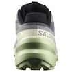 Dames hardloopschoenen Salomon Speedcross 6 Castlerock/Vanilla Ice/Smoke Green