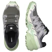 Dames hardloopschoenen Salomon Speedcross 6 Castlerock/Vanilla Ice/Smoke Green