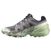 Dames hardloopschoenen Salomon Speedcross 6 Castlerock/Vanilla Ice/Smoke Green