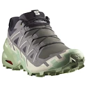 Dames hardloopschoenen Salomon Speedcross 6 Castlerock/Vanilla Ice/Smoke Green