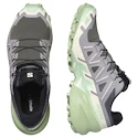 Dames hardloopschoenen Salomon Speedcross 6 Castlerock/Vanilla Ice/Smoke Green