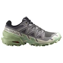 Dames hardloopschoenen Salomon Speedcross 6 Castlerock/Vanilla Ice/Smoke Green