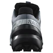 Dames hardloopschoenen Salomon Speedcross 6 Gore-Tex Flint Stone/Black/Heather