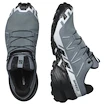 Dames hardloopschoenen Salomon Speedcross 6 Gore-Tex Flint Stone/Black/Heather