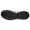 Dames hardloopschoenen Salomon Speedcross 6 Gore-Tex Flint Stone/Black/Heather