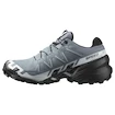 Dames hardloopschoenen Salomon Speedcross 6 Gore-Tex Flint Stone/Black/Heather