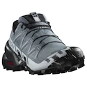 Dames hardloopschoenen Salomon Speedcross 6 Gore-Tex Flint Stone/Black/Heather