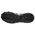 Dames hardloopschoenen Salomon Speedcross 6 Gore-Tex Flint Stone/Black/Heather