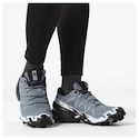 Dames hardloopschoenen Salomon Speedcross 6 Gore-Tex Flint Stone/Black/Heather