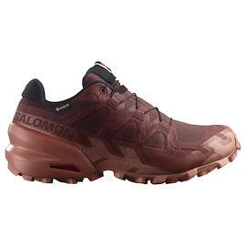 Dames hardloopschoenen Salomon Speedcross 6 Gore-Tex Rum Raisin/Barn Red/Canyon Clay
