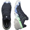 Dames hardloopschoenen Salomon Speedcross 6 Gtx Carbon / Provence / White