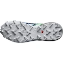 Dames hardloopschoenen Salomon Speedcross 6 Gtx Carbon / Provence / White