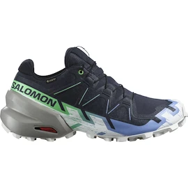 Dames hardloopschoenen Salomon Speedcross 6 Gtx Carbon / Provence / White