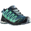 Dames hardloopschoenen Salomon XA Pro 3D V8 GTX W Legion Blue