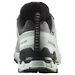 Dames hardloopschoenen Salomon Xa Pro 3D V9 Gore-Tex Quiet Shade/Lily Pad/Blue Haze