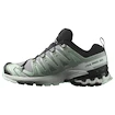 Dames hardloopschoenen Salomon Xa Pro 3D V9 Gore-Tex Quiet Shade/Lily Pad/Blue Haze