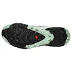 Dames hardloopschoenen Salomon Xa Pro 3D V9 Gore-Tex Quiet Shade/Lily Pad/Blue Haze