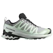 Dames hardloopschoenen Salomon Xa Pro 3D V9 Gore-Tex Quiet Shade/Lily Pad/Blue Haze