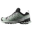 Dames hardloopschoenen Salomon Xa Pro 3D V9 Gore-Tex Quiet Shade/Lily Pad/Blue Haze
