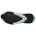 Dames hardloopschoenen Salomon Xa Pro 3D V9 Gore-Tex Quiet Shade/Lily Pad/Blue Haze