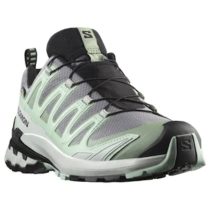 Dames hardloopschoenen Salomon Xa Pro 3D V9 Gore-Tex Quiet Shade/Lily Pad/Blue Haze