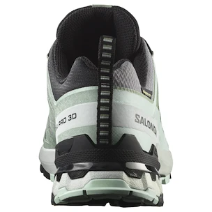 Dames hardloopschoenen Salomon Xa Pro 3D V9 Gore-Tex Quiet Shade/Lily Pad/Blue Haze