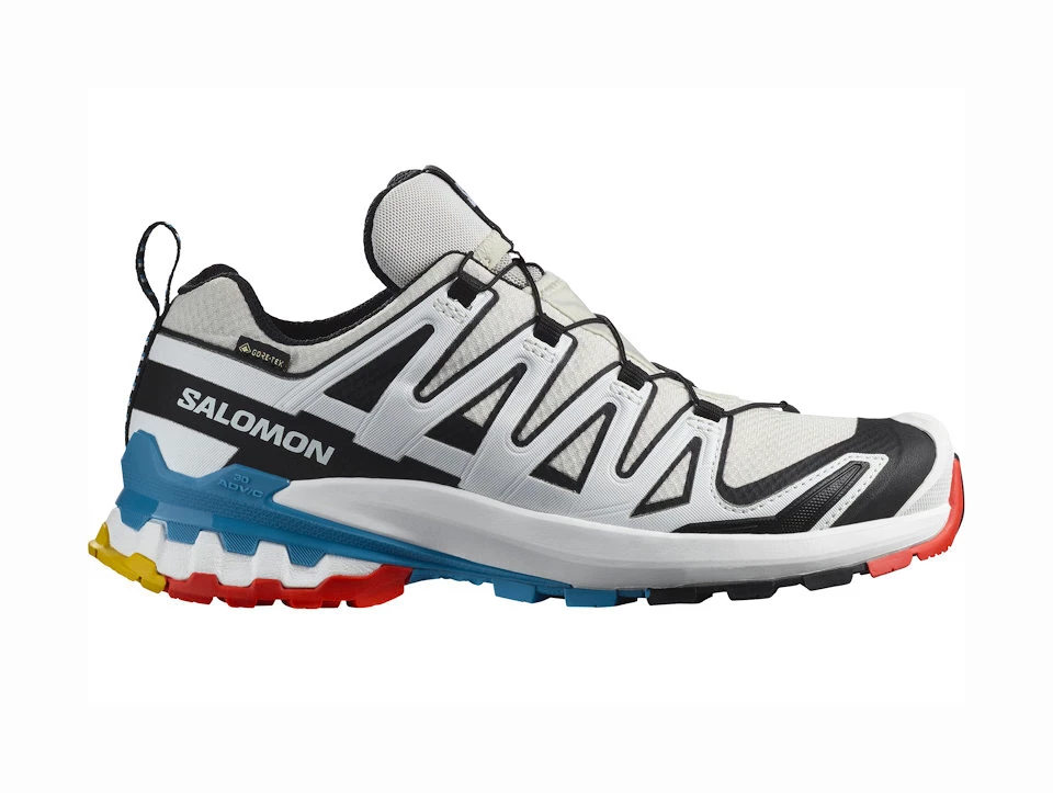 Dames hardloopschoenen Salomon XA Pro 3D V9 GTX W LunarRock/White/Black