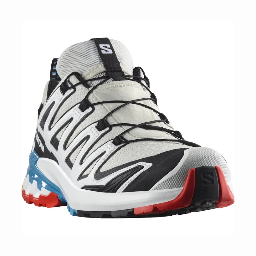 Dames hardloopschoenen Salomon XA Pro 3D V9 GTX W LunarRock/White/Black