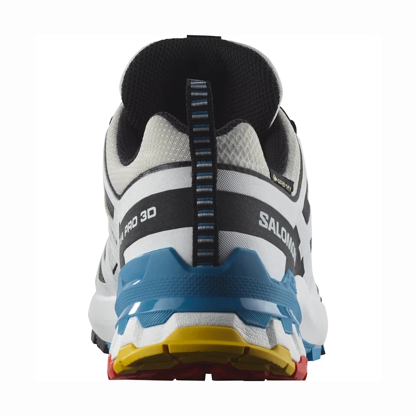 Dames hardloopschoenen Salomon XA Pro 3D V9 GTX W LunarRock/White/Black