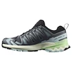 Dames hardloopschoenen Salomon Xa Pro 3D V9 Turbulence/Iced Aqua/Patina Green