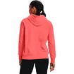 Dames hoodie Under Armour  Rival Fleece Logo Hoodie Miami