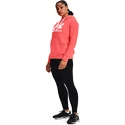 Dames hoodie Under Armour  Rival Fleece Logo Hoodie Miami
