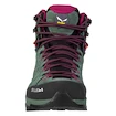 Dames outdoorschoenen Salewa WS Alp Trainer 2 MID GTX